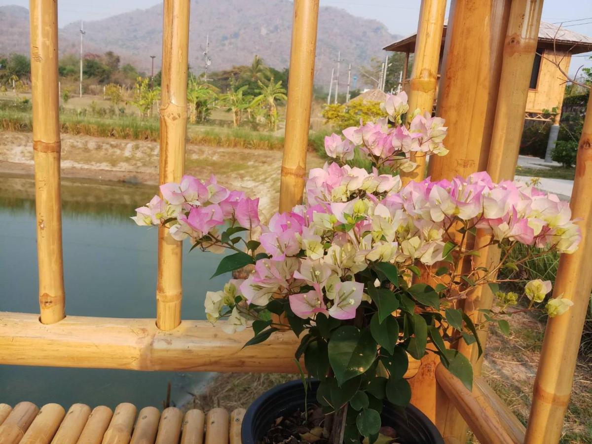 คูณ-เนื่อง ฟาร์ม สเตย์ หัวหิน Koon & Nueang Farm Stay Hua Hin Banbofaj Kültér fotó